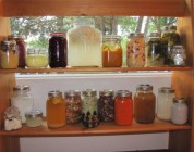 Want to learn how to make probiotic condiments and bubbly beverages (at home) for better digestion, smooth skin and optimal immunity?